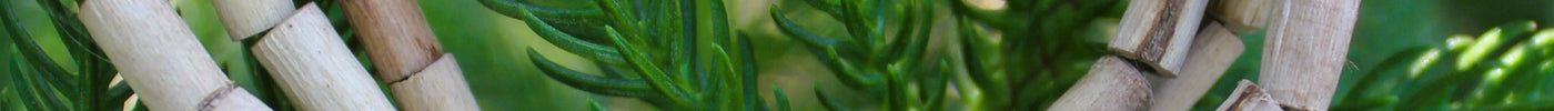 What Makes Tulsi Mala Special Compared to Other Prayer Beads?