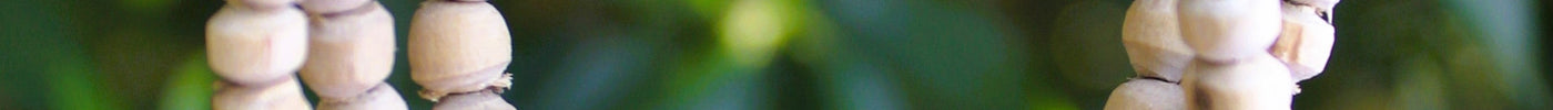 How to Remove Tulsi Mala with Respect and Clarity