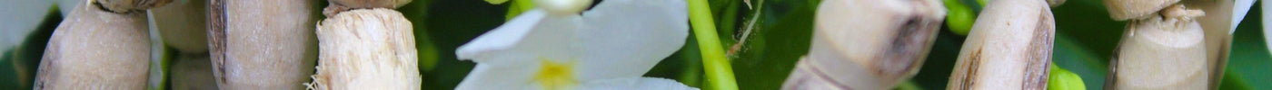 How to Choose the Right Tulsi Japa Mala for Your Needs