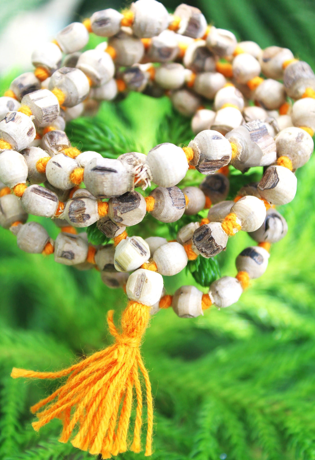 What Should Not Be Done After Wearing Tulsi Mala