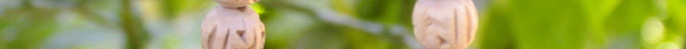 Can I Wear Tulsi Mala If I Eat Onion and Garlic