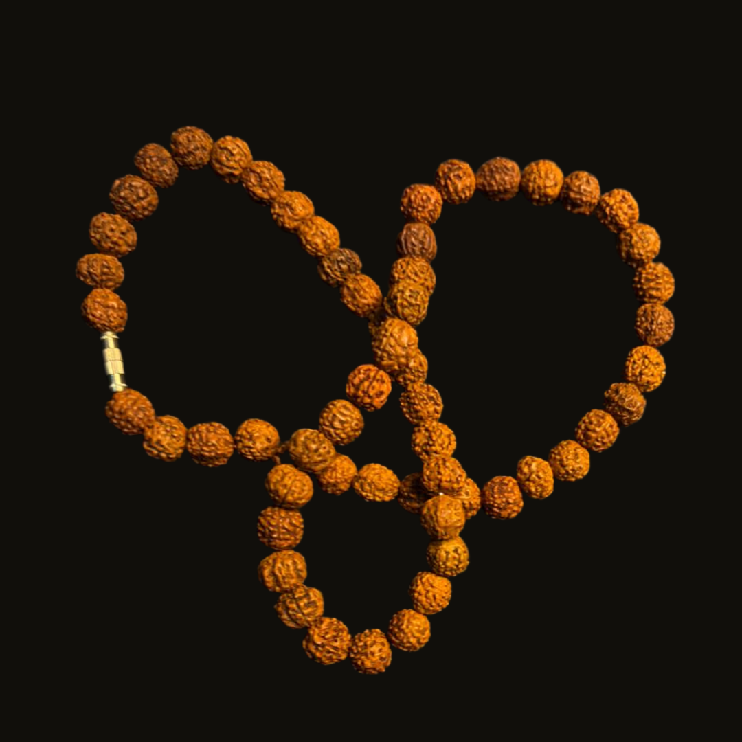 Tulsirudra