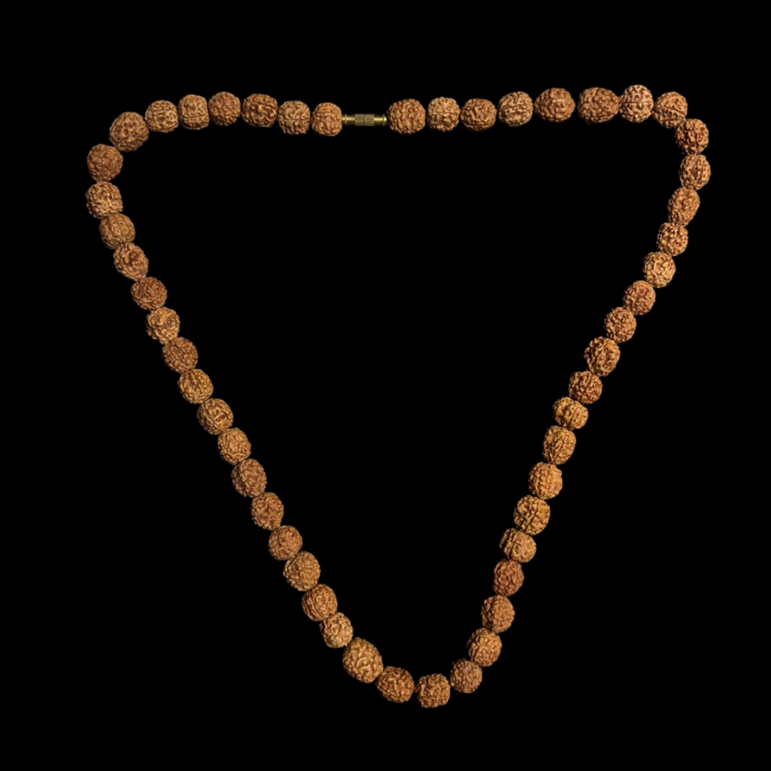 Tulsirudra