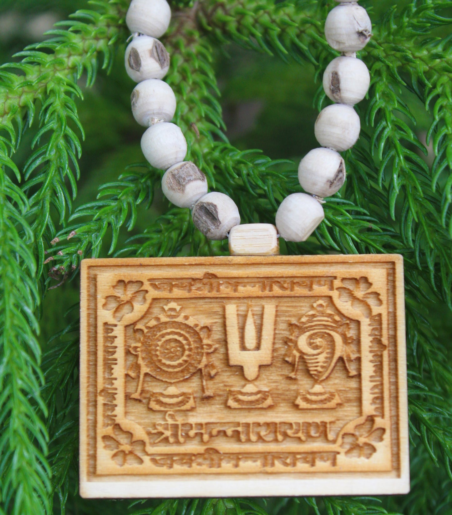 Tulsirudra