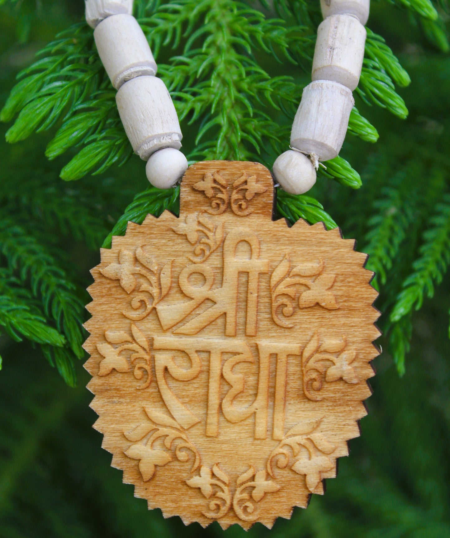 Tulsirudra