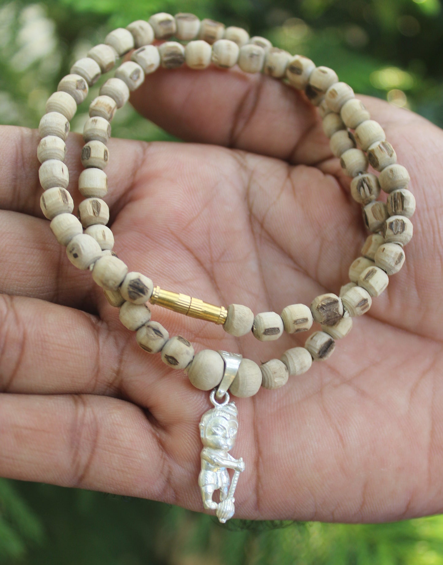 Tulsirudra