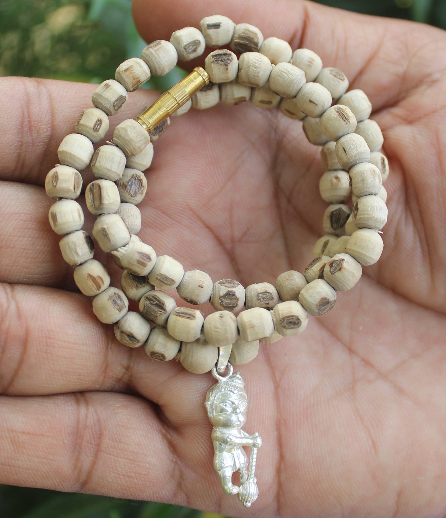 Tulsirudra