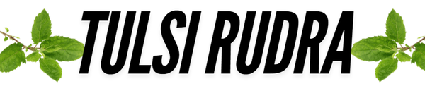 Tulsi Rudra