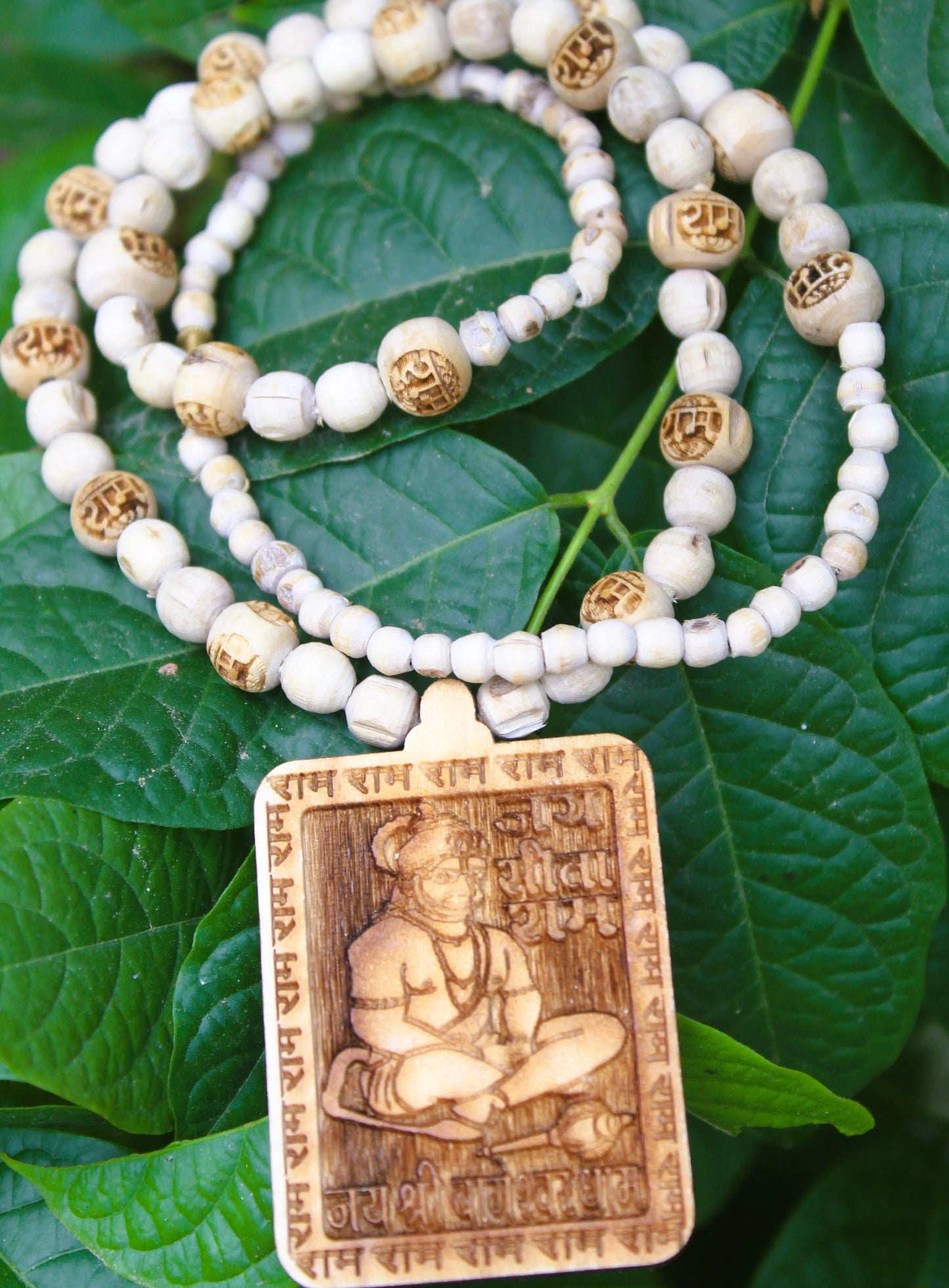 Tulsirudra
