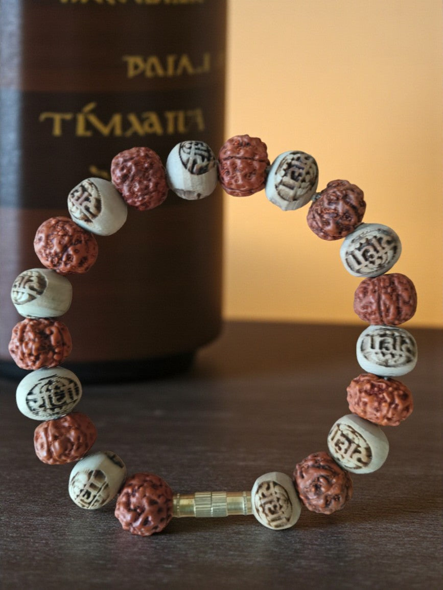 Tulsi Rudra