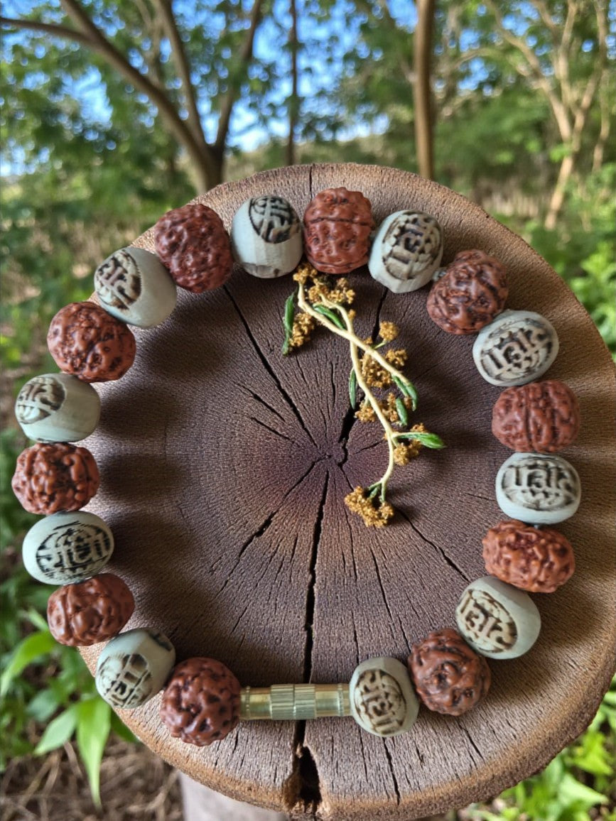 Tulsi Rudra