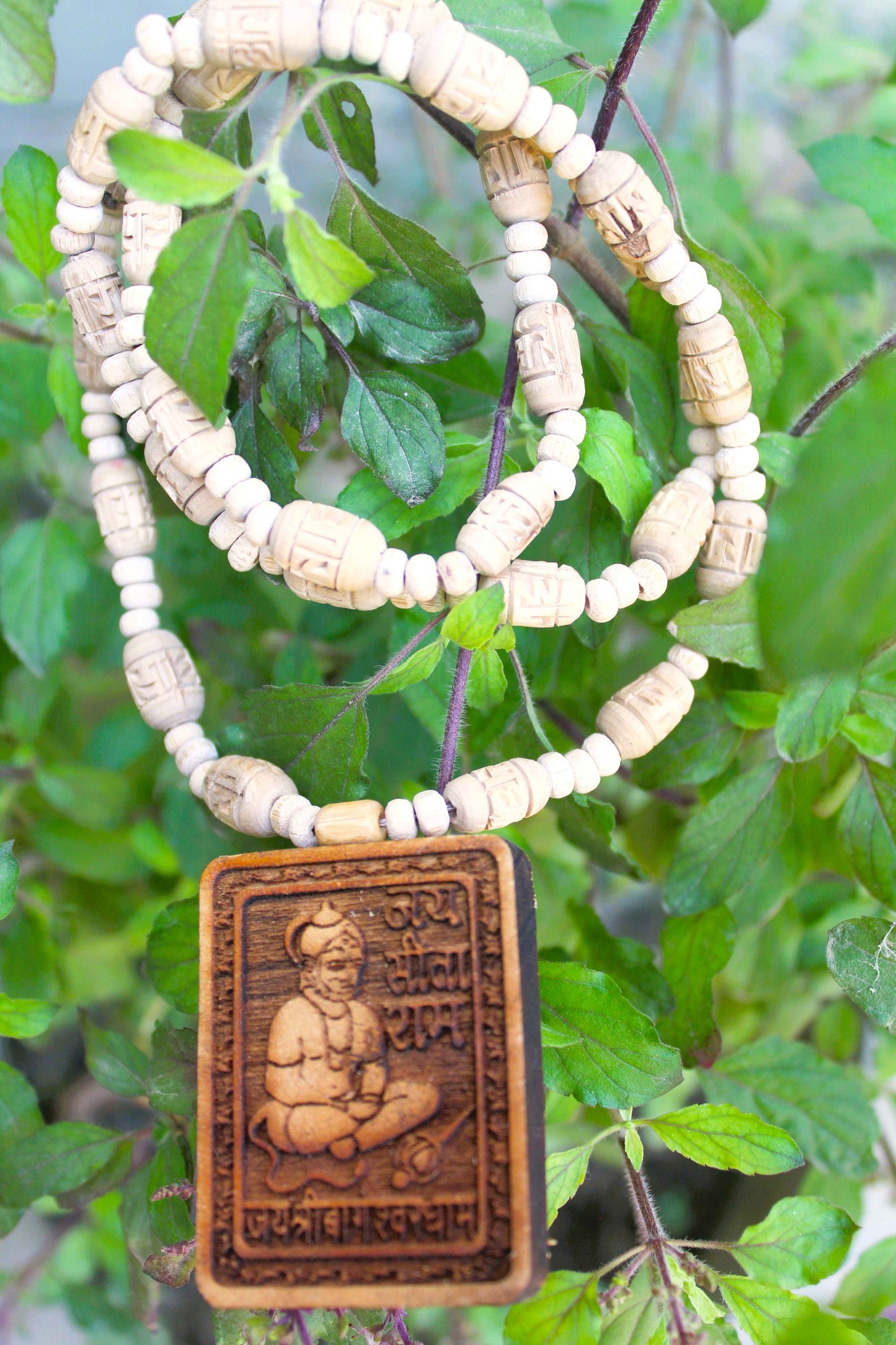 Tulsirudra