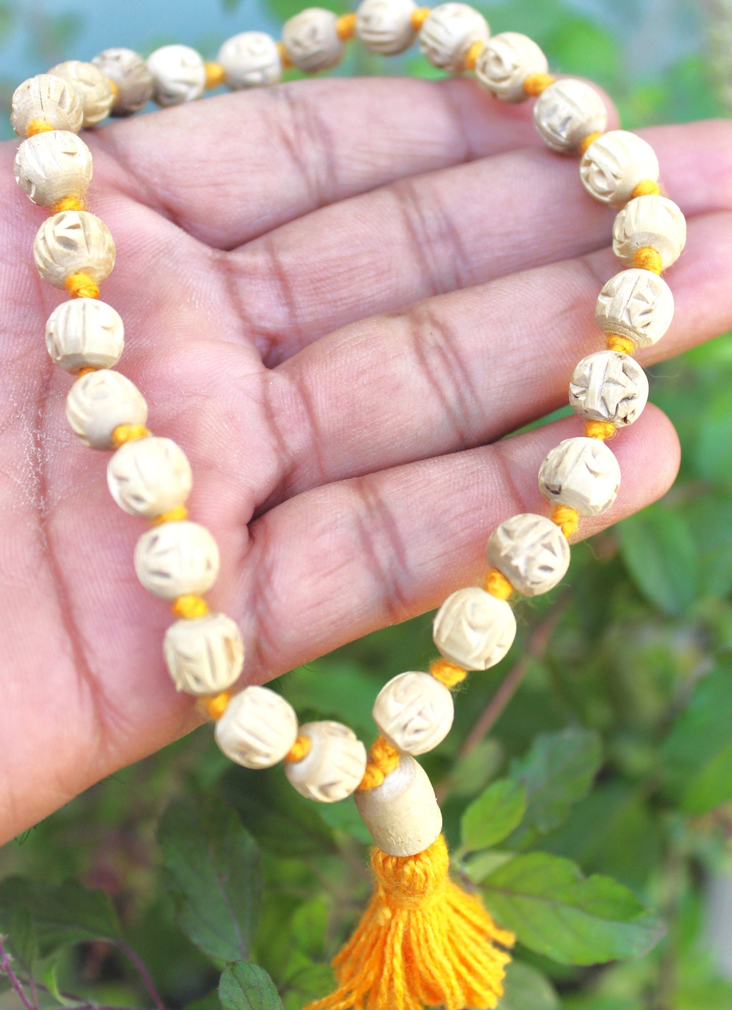 Tulsirudra