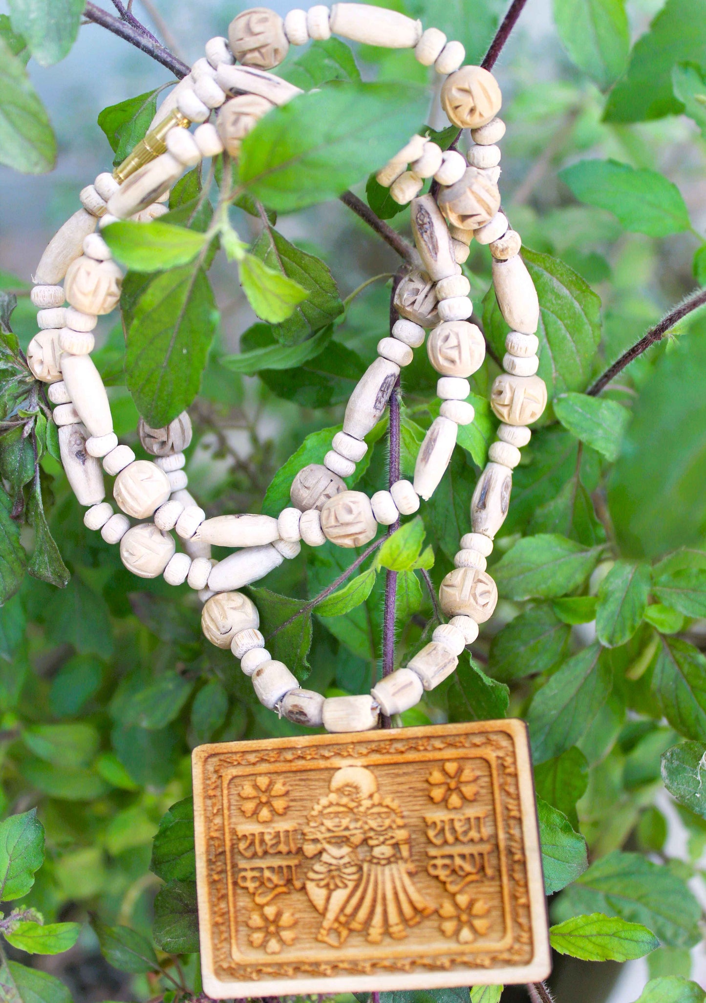Tulsirudra