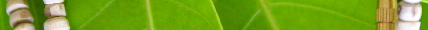 The Role of Tulsi in Balancing Chakras and Promoting Positivity