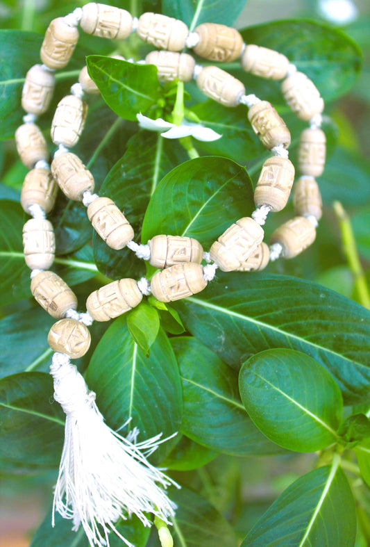 Can Non-Vegetarians Wear Tulsi Mala? Know the Truth