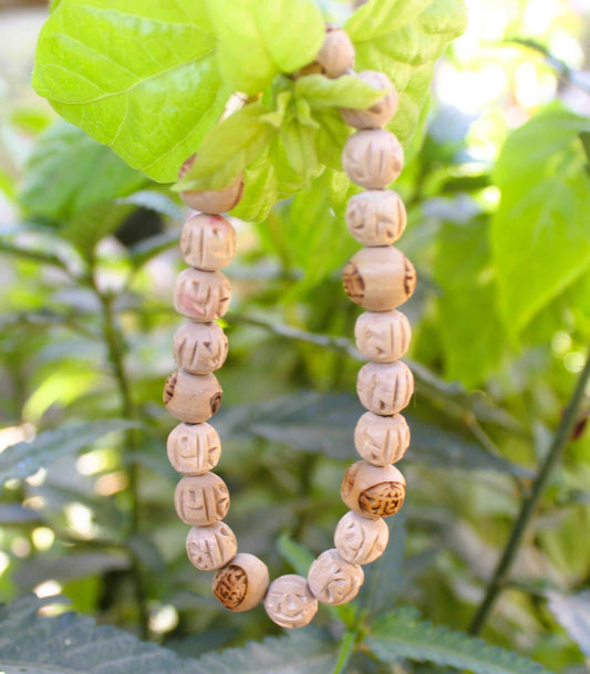 Can I Wear Tulsi Mala If I Eat Onion and Garlic