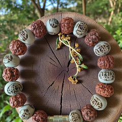 Collection image for: Rudraksha Bracelets