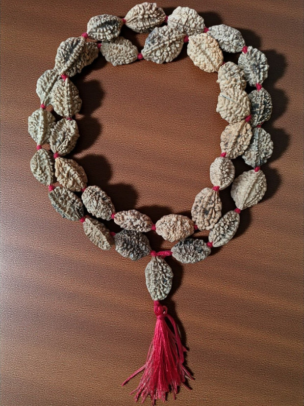 Banner image for: <h2><strong>Gauri Shankar Rudraksha Mala</strong></h2>