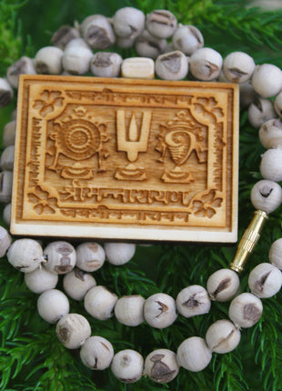 Tulsirudra