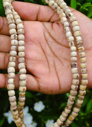 Tulsirudra