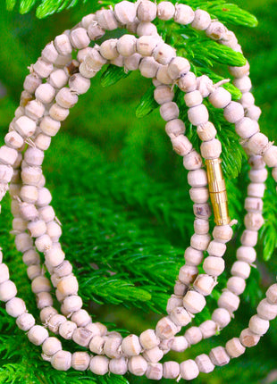 Tulsirudra