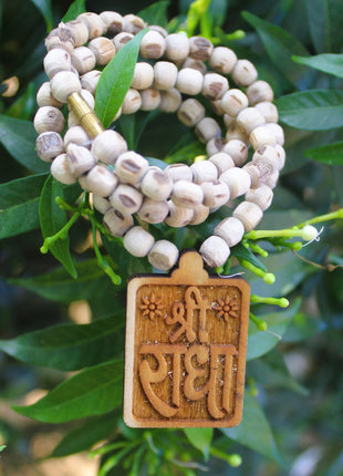 Tulsirudra