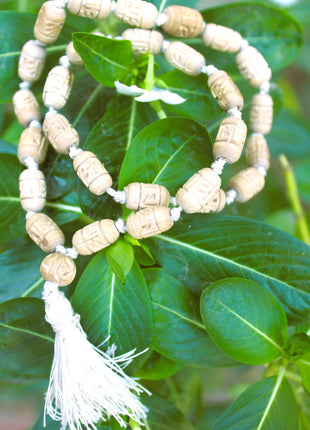 Tulsirudra