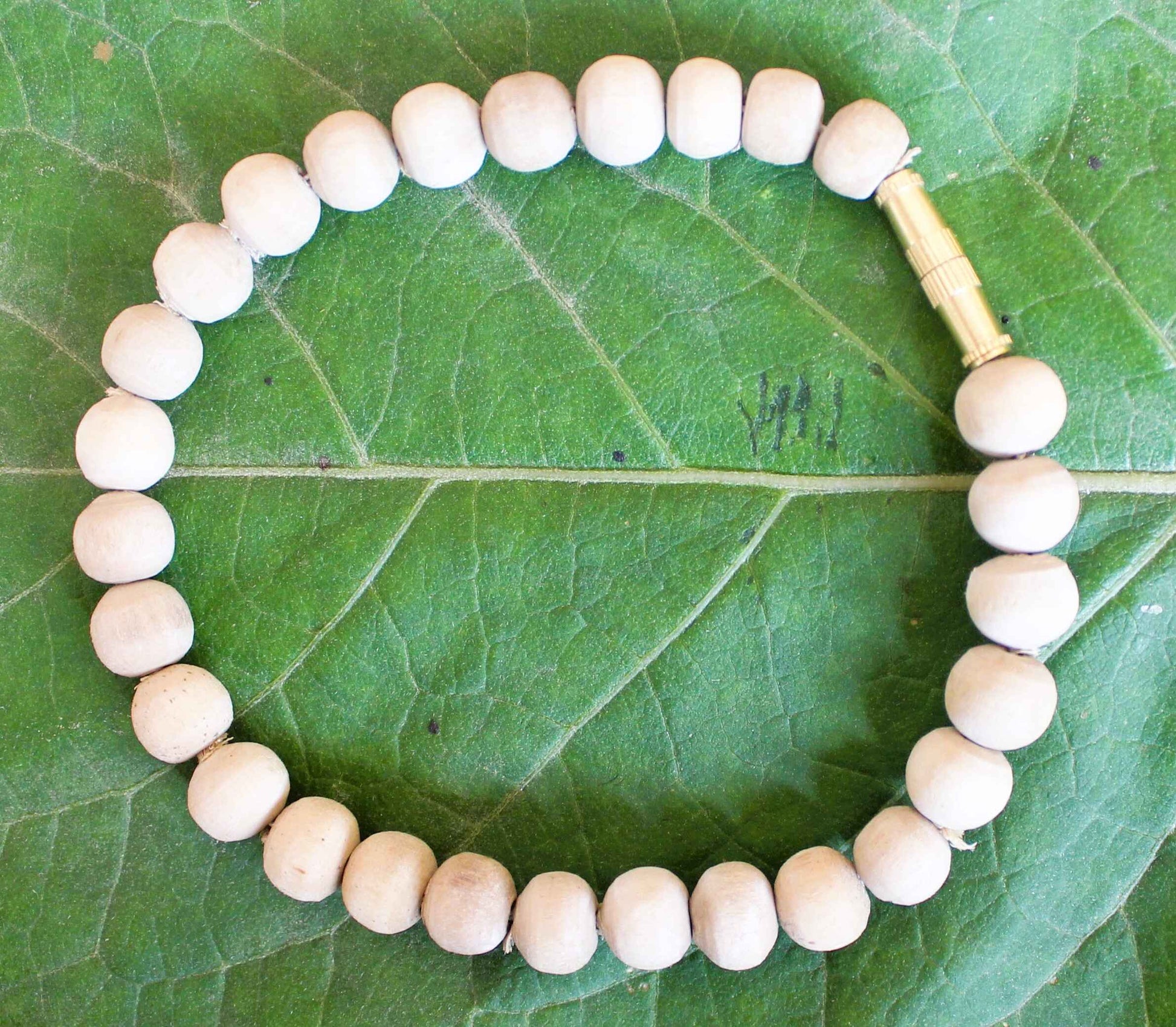 Tulsirudra