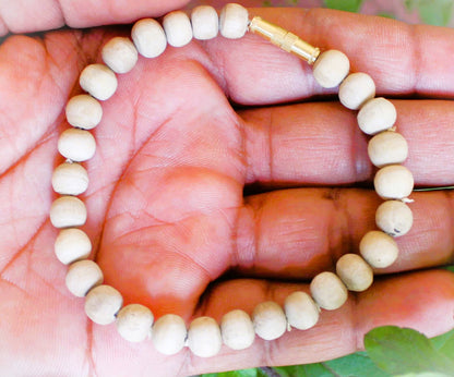 Tulsirudra